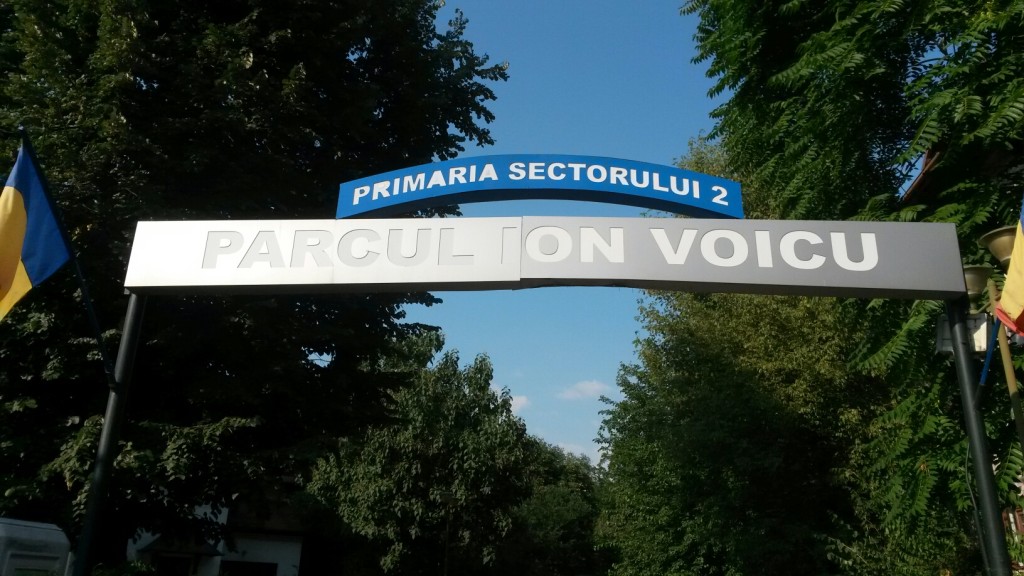 ion voicu
